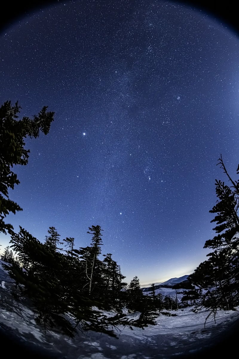 S15_2026-02-21_19-17-06_EOS R5_Ohnishi_6170_YOKOTECANOPUS2700