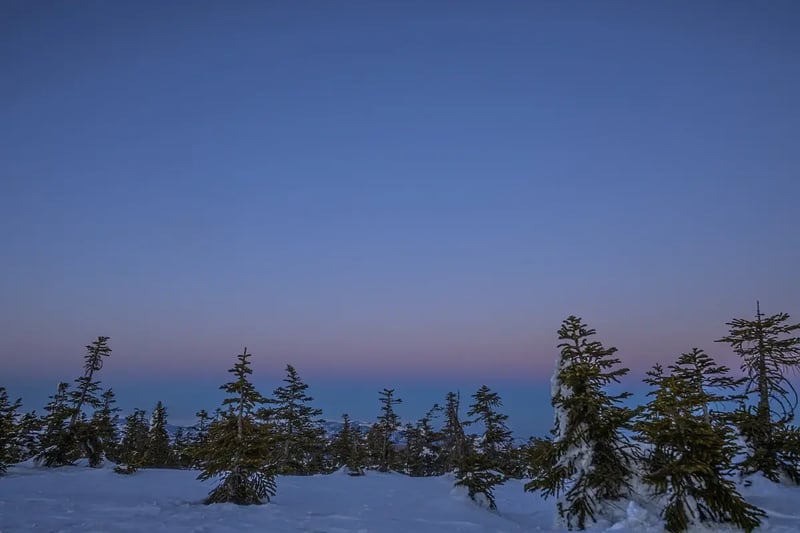 S16_2026-02-21_17-37-23_EOS R5_Ohnishi_6048_VenusBelt2700