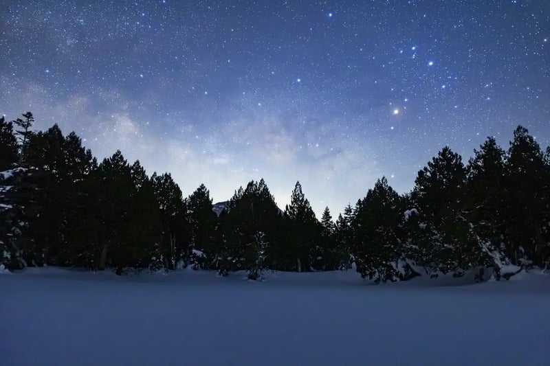 S19_2026-02-15_04-54-13_EOS R5_Ohnishi_5259_SHIGA2700