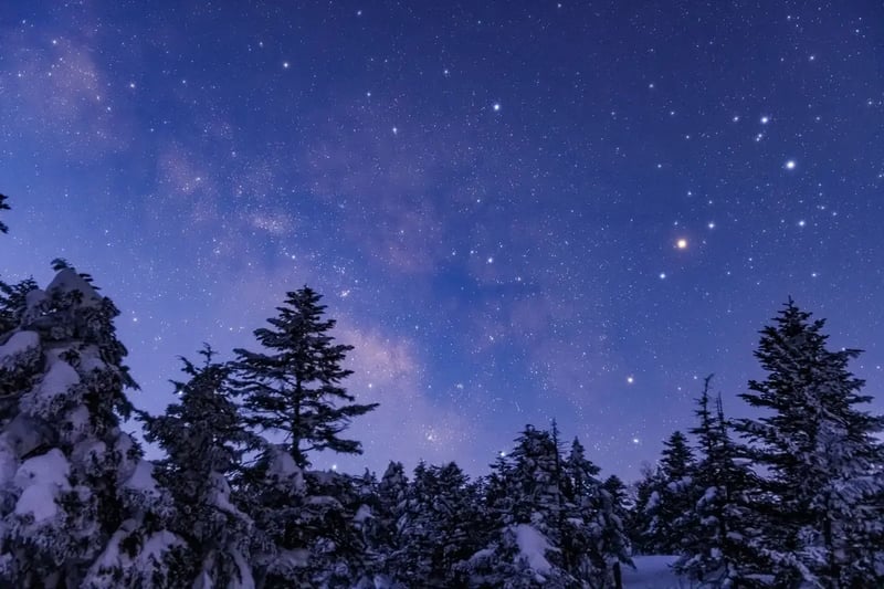 S23_2022-03-09_05-05-25_Ohnishi_EOS R5_1358_SHIGA2700