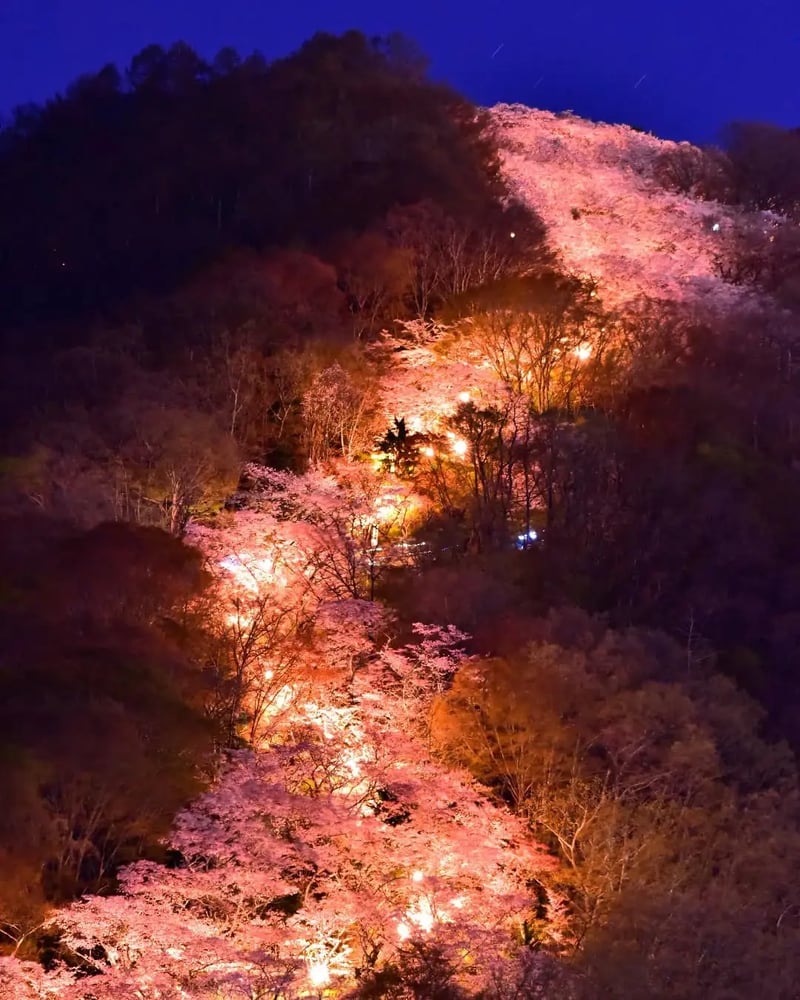 06_@takky.photograph