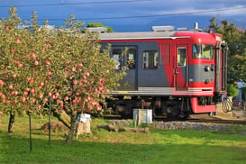 しなの鉄道賞(ktaro683様)