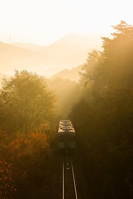 2B2A7024-1-2 (1) (1) (1)