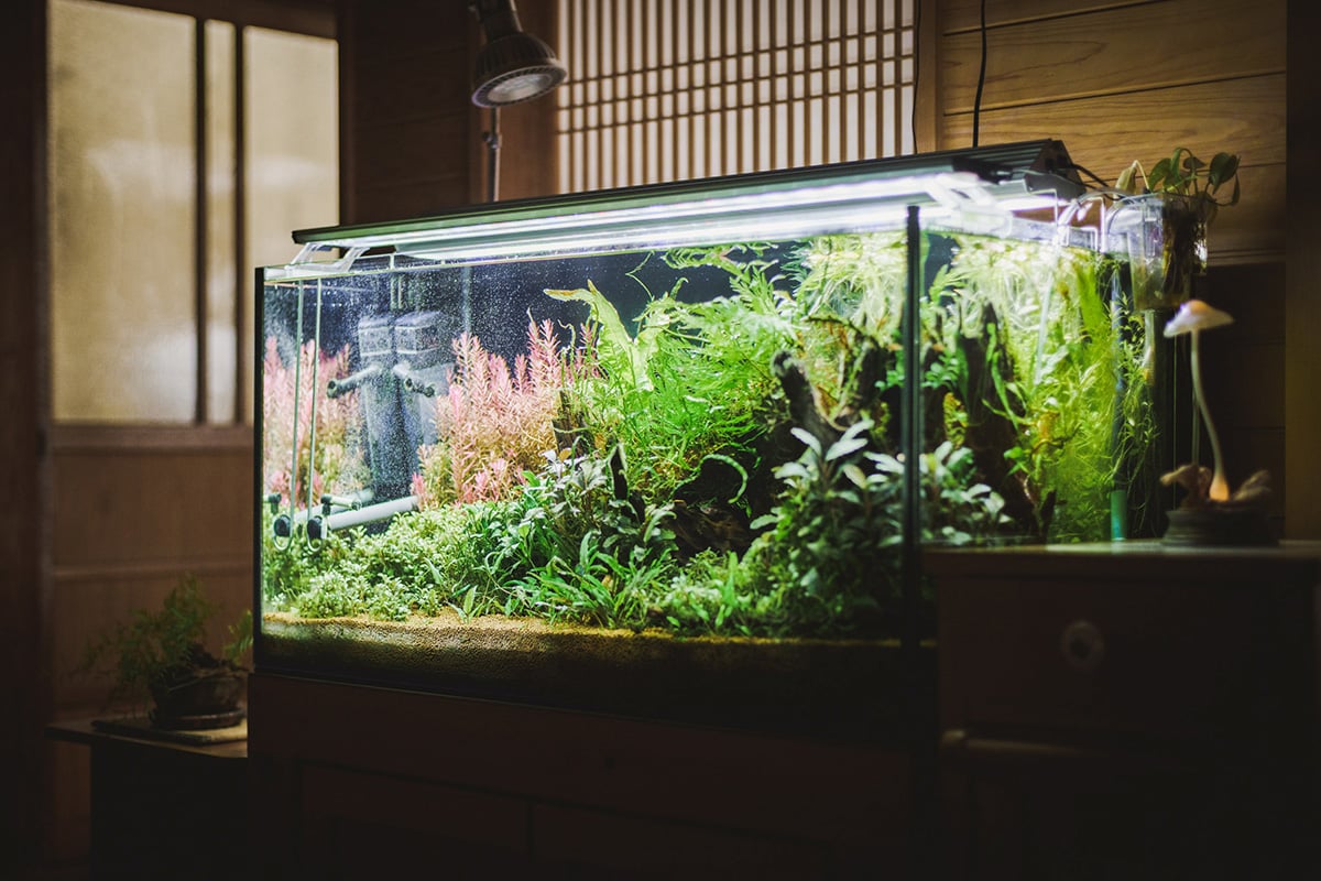 常智院