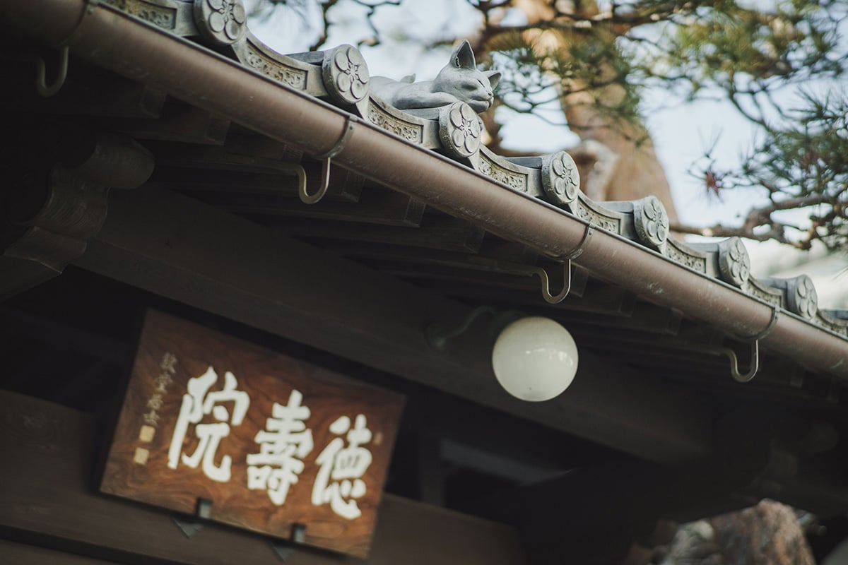 徳寿院