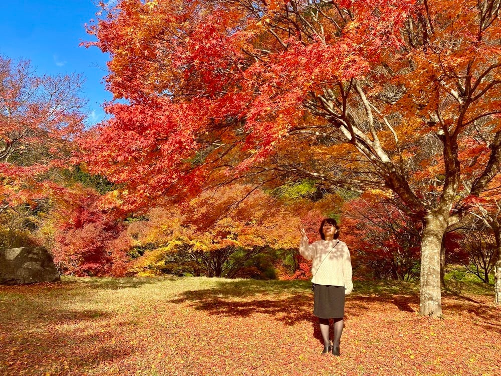 Southern Nagano Autumn - Mt. Naeba Lady Standing Under Momiji