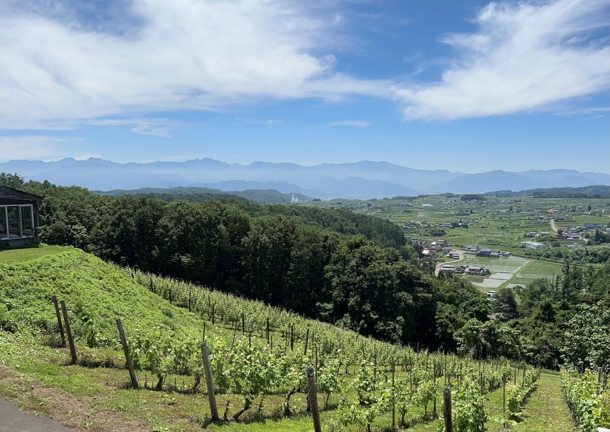 St. Cousair Winery (Iizuna Town)