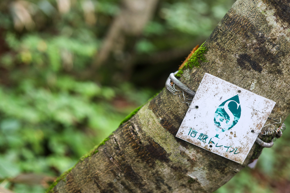 The Shin-etsu Trail | Go! NAGANO Official Travel Guide of