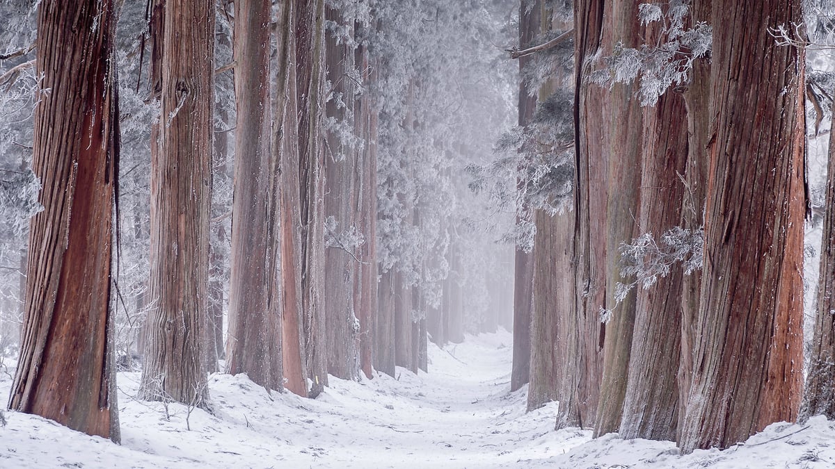 field-design170220_togakushi3