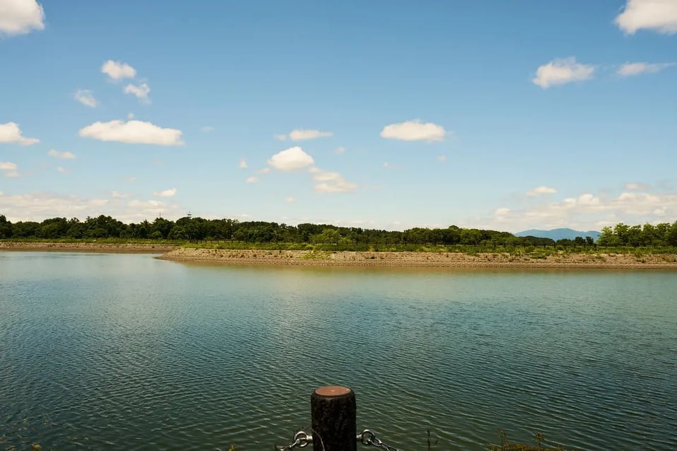 5photo_DSC00020