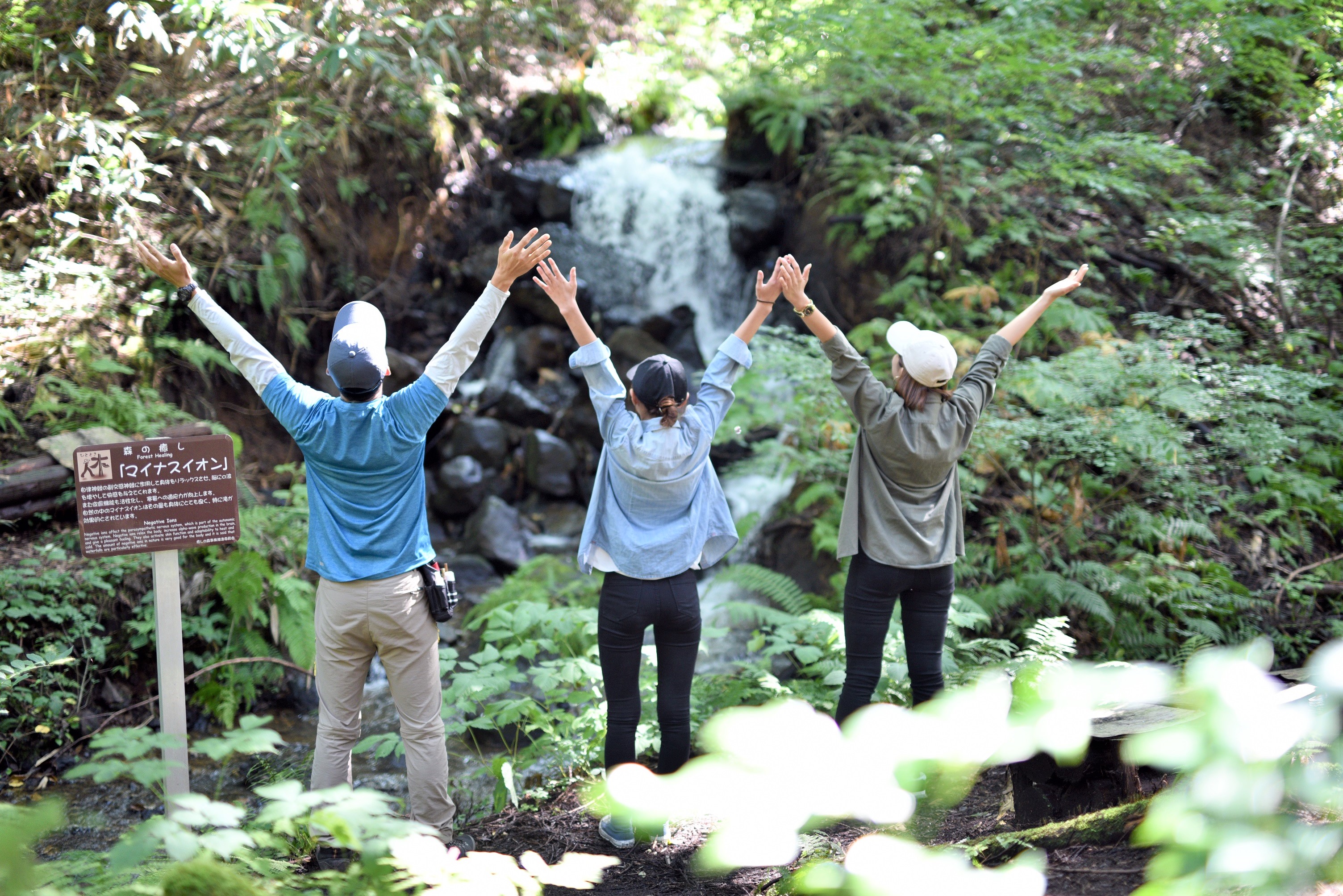 A group of forest bathers take in the fresh air in front of a small waterfall