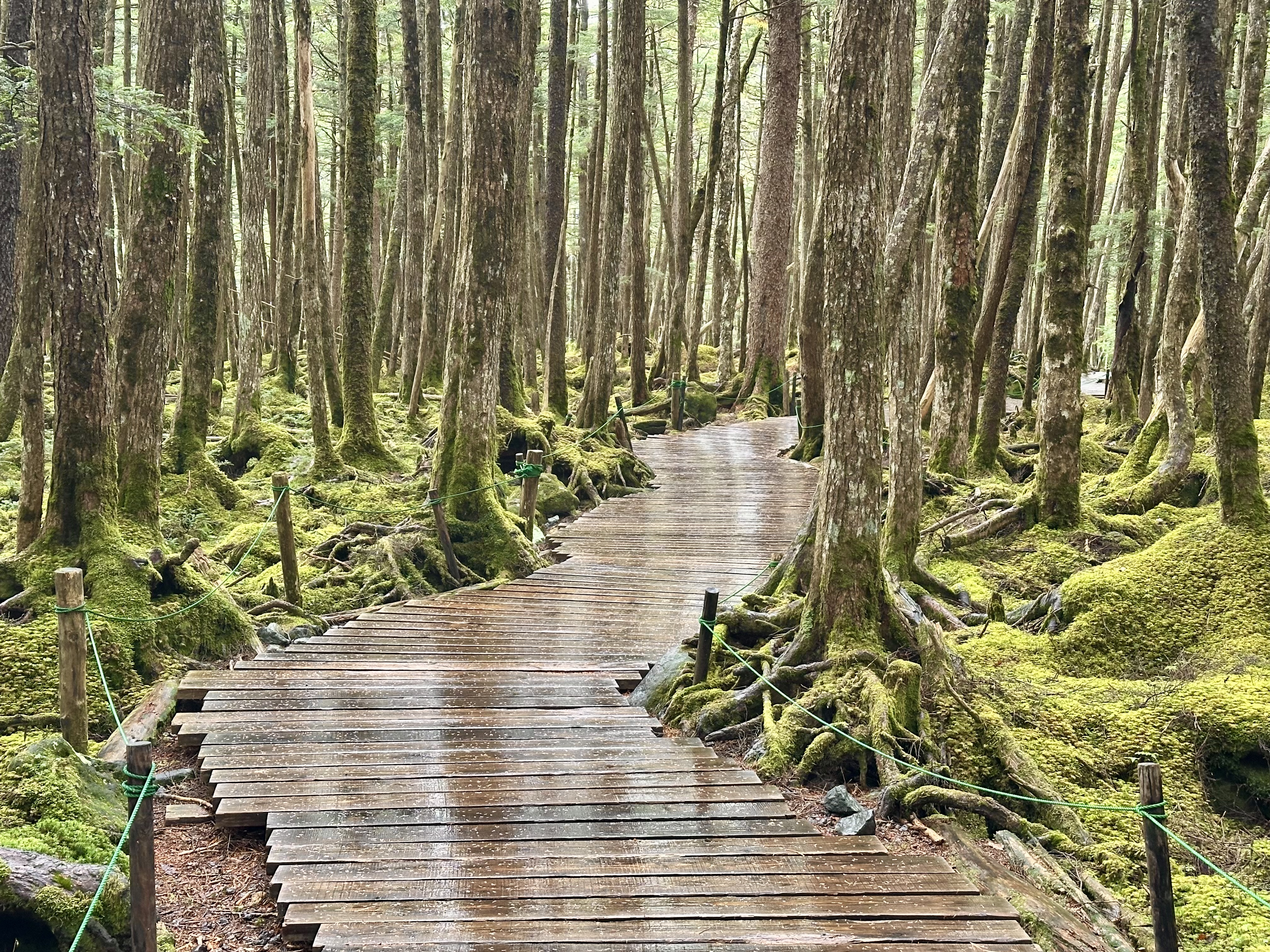 Nature Walks and Easy Hikes through Nagano and the Japanese Alps