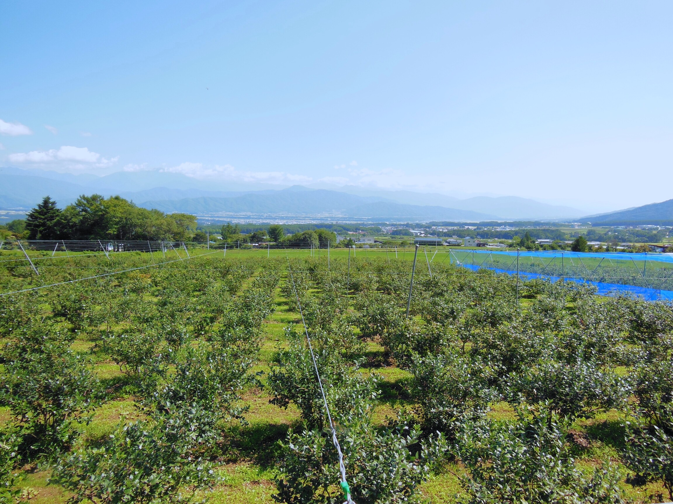 Family-Friendly Adventures in Nagano: Tops Picks for Kids and Parents