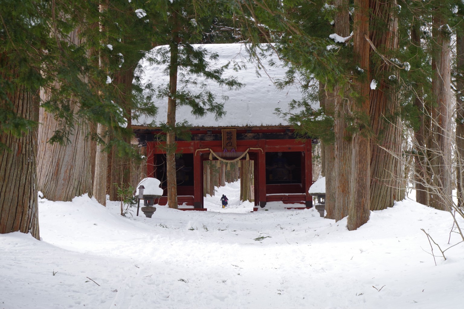 Snowshoeing Around the Shrines of Togakushi