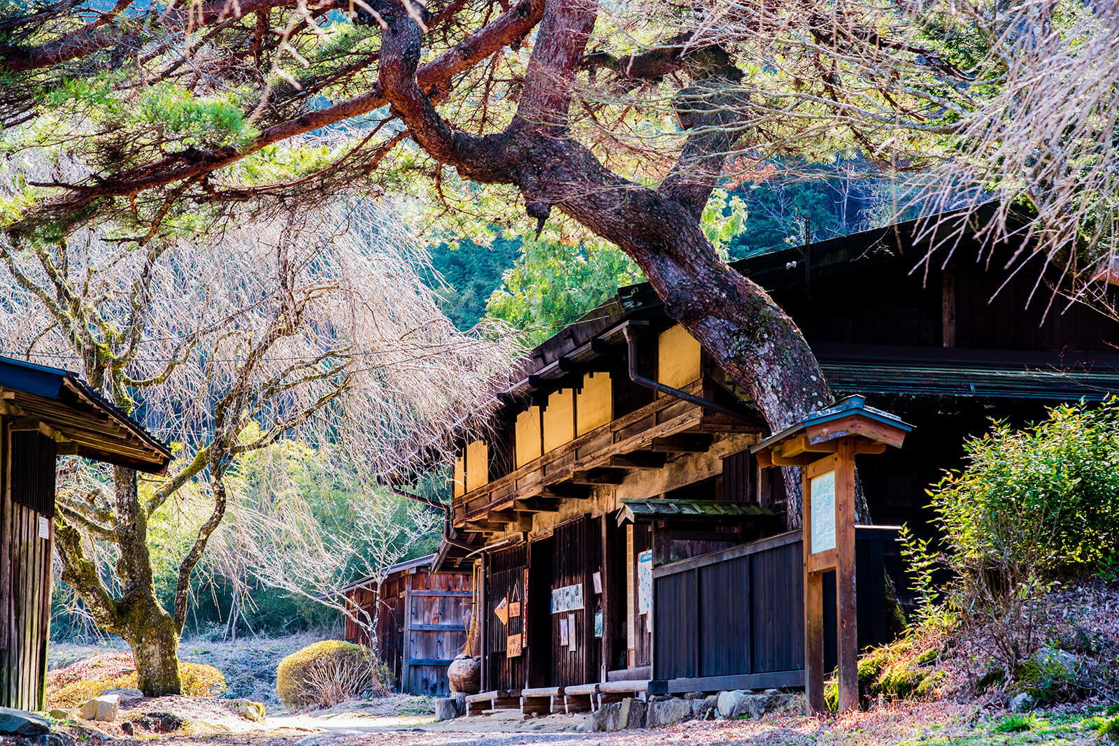 Walking the Nakasendo