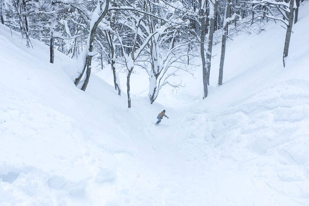 สกีรีสอร์ตที่ซ่อนอยู่ของ Nagano