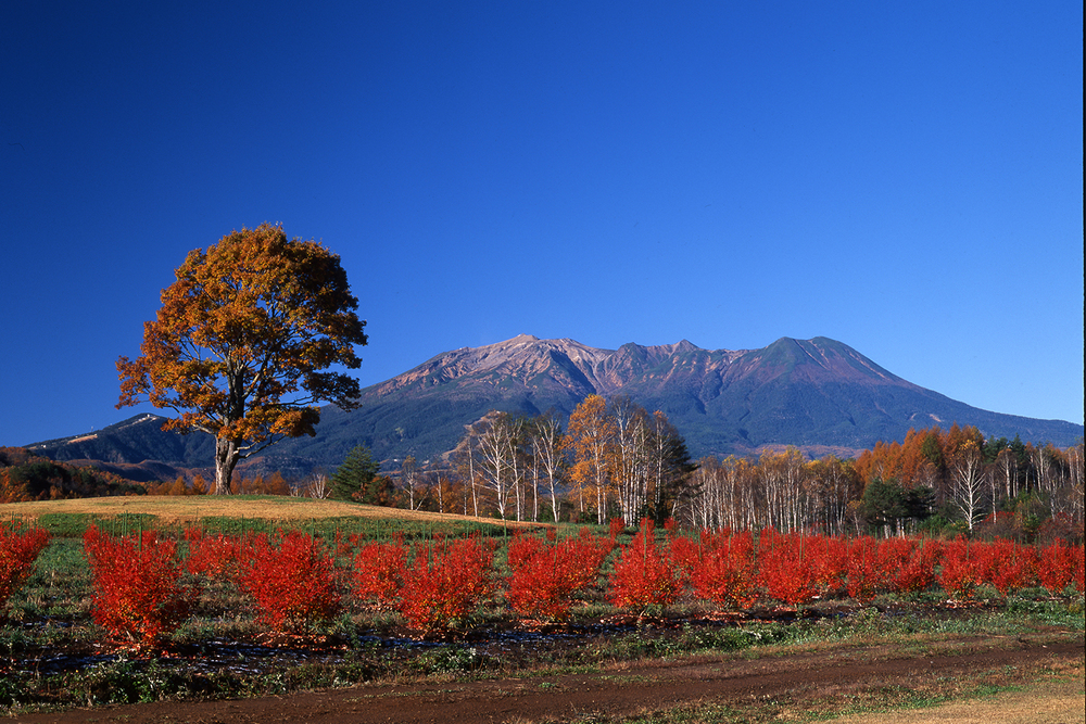 長野の紅葉見ごろ（10月下旬）