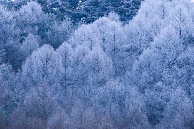 Beautiful Winter Phenomena