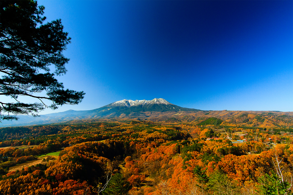 長野の紅葉見ごろ（11月）