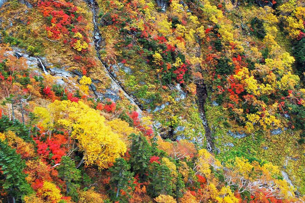 日本最奥へ、長野県おすすめ紅葉情報