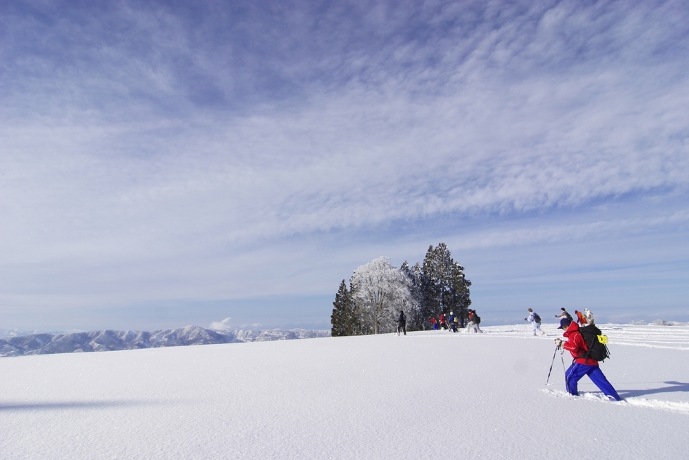 長野県　冬の人気アクティビティ　履こう、スノーシュー。歩こう、雪原。