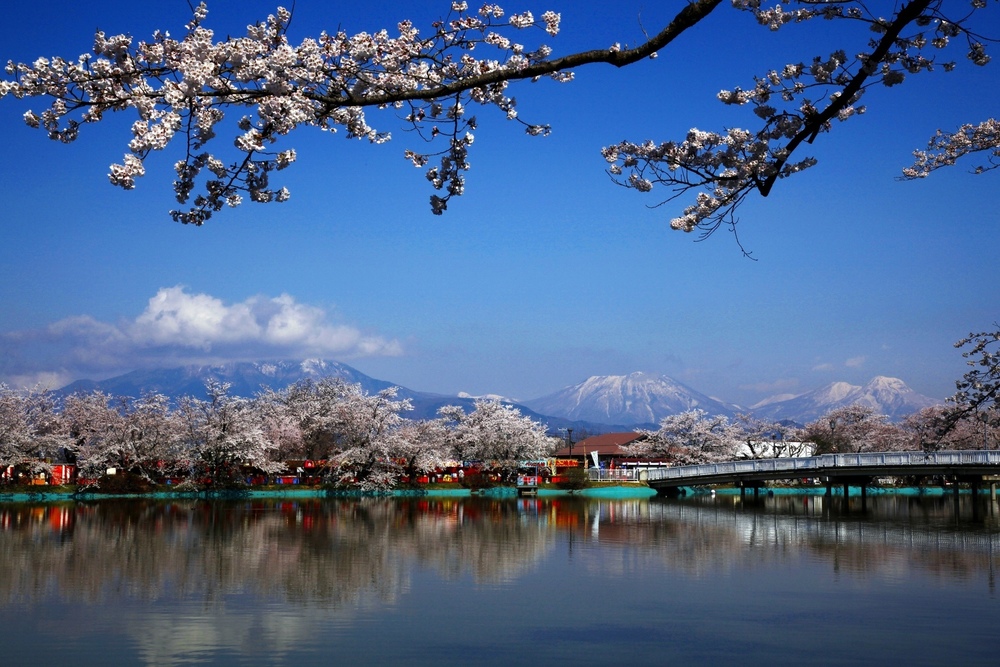 長野縣的賞櫻佳期（4月上旬～4月中旬）