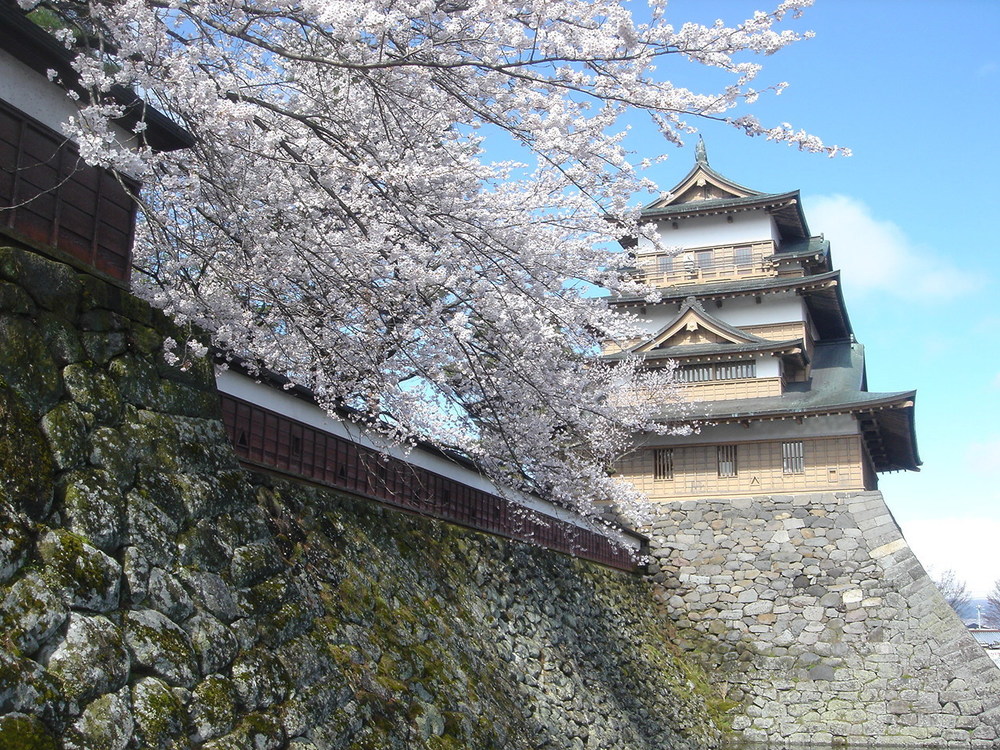 長野の桜の見ごろ（4月中旬～4月下旬）伊那路・諏訪・木曽路エリア