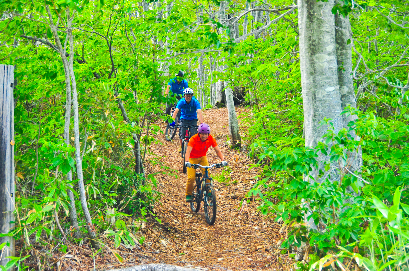 越野單車在白馬岩岳MTB公園