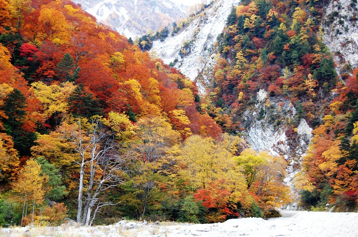 สถานที่ท่องเที่ยวชมฤดูใบไม้ร่วงที่ซ่อนตัวอยู่ใน Nagano