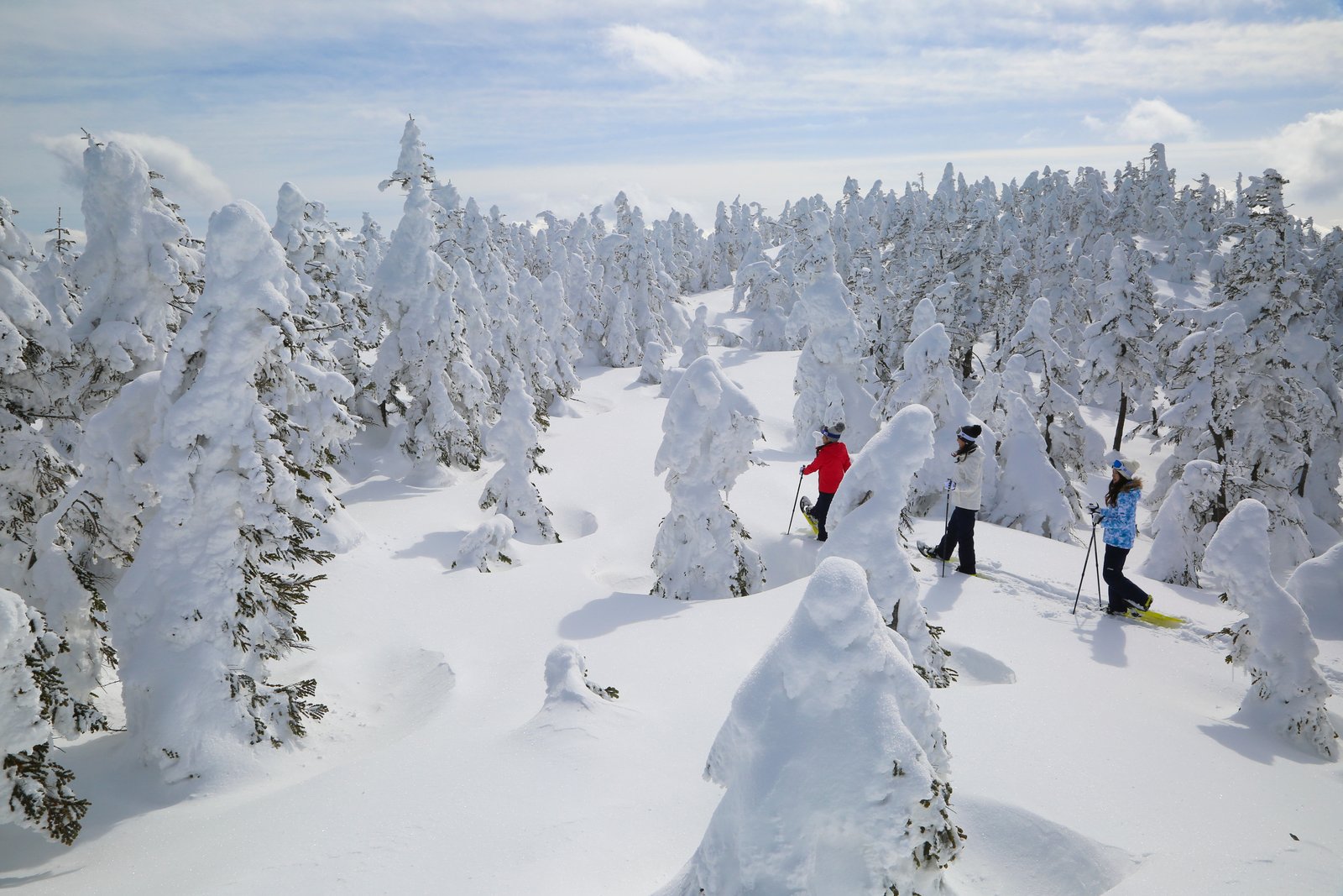 The Best Places to Go Snowshoeing in Nagano