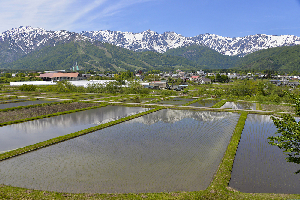 雪形を見ながら巡る　安曇野～白馬の春 | Go NAGANO 長野県公式観光サイト