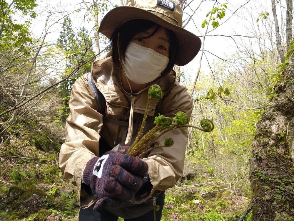 春～初夏限定！ 山菜採り体験が想像を超える楽しさだった！in野沢温泉