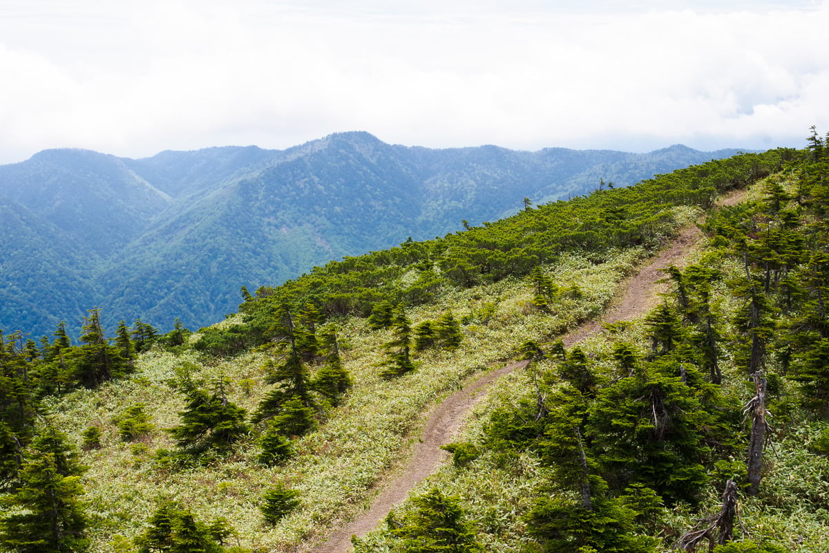 Nature and Hiking Trails in Shiga Kogen