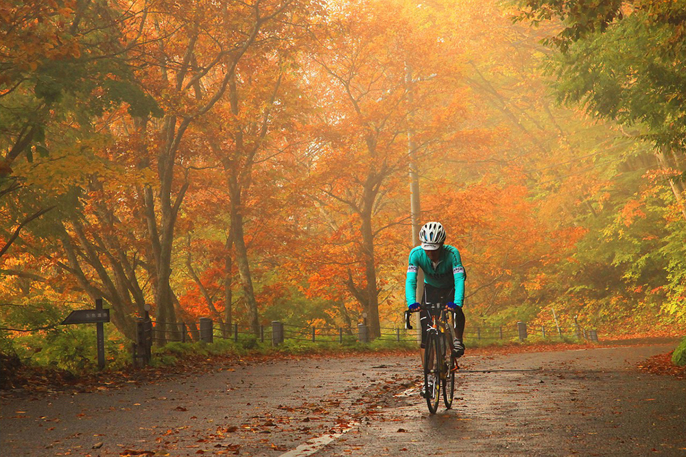 紅葉ロードをe-Bikeで走って萌えてみませんか!? 