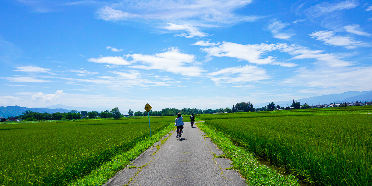 簡直走入龍貓場景！長野縣安曇野，日式鄉村風景的悠閒單車一日遊