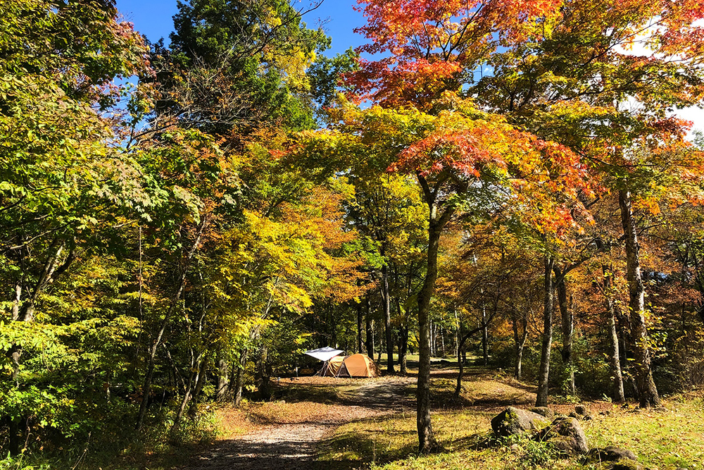 “新萌え”孤独の紅葉ソロキャンプ のすすめ