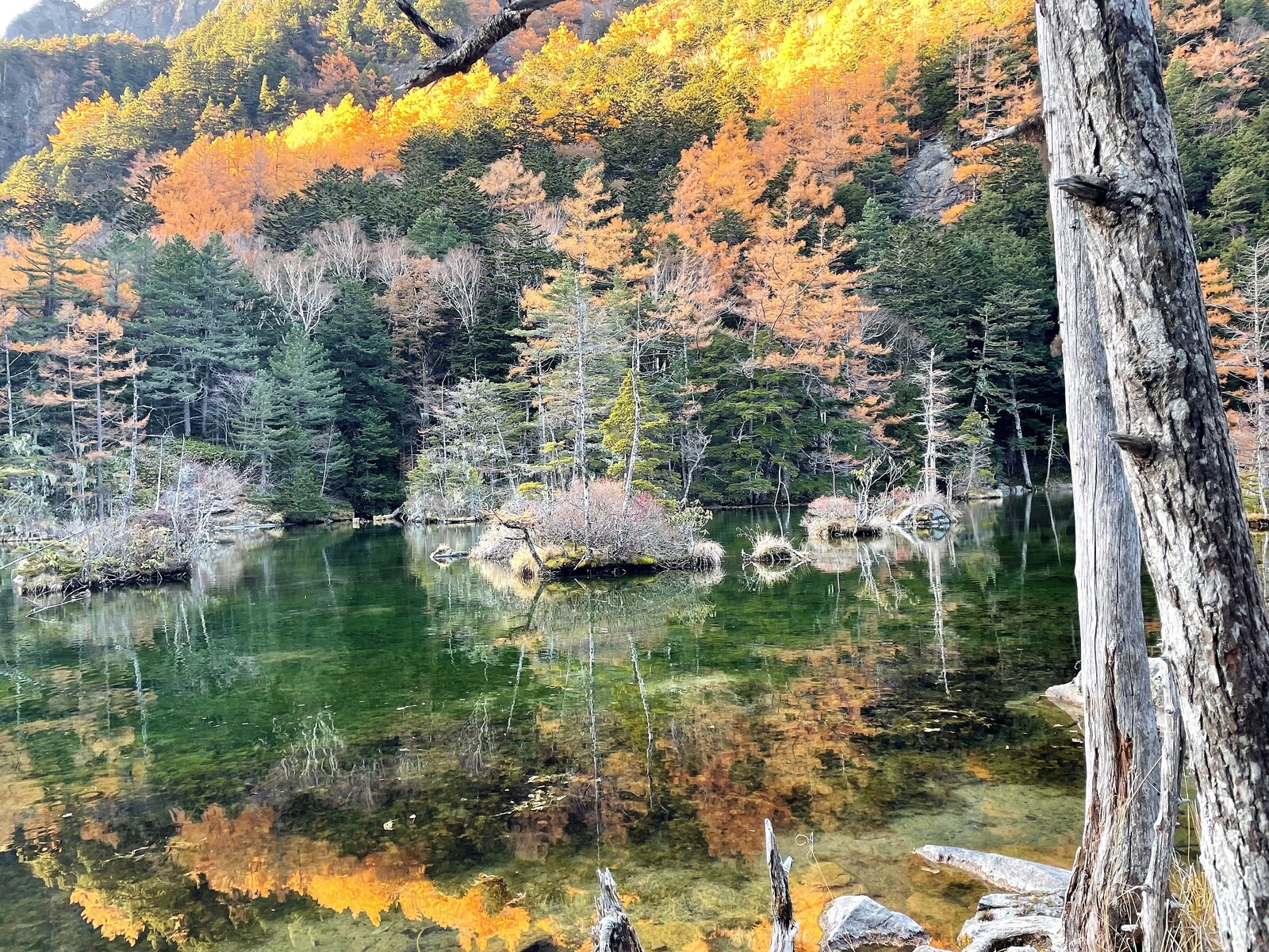 上高地 原始森林公园 高山生态之旅