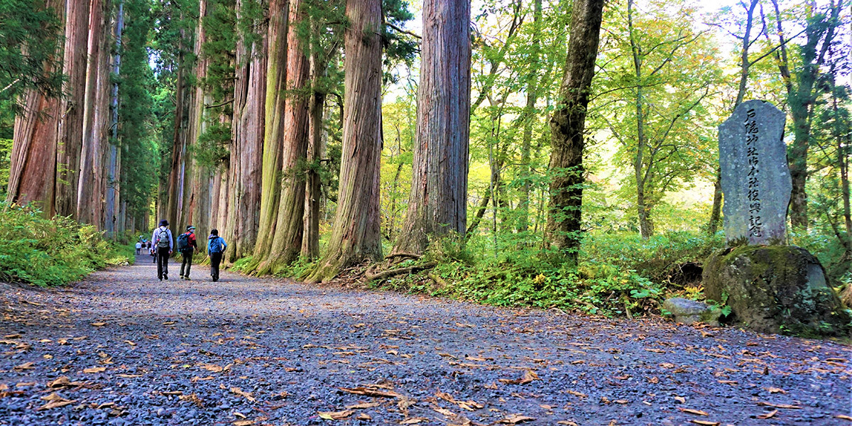 Visiting the Five Shrines of Togakushi