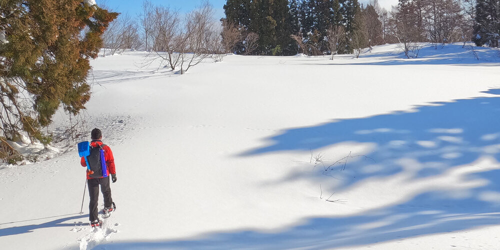 不滑雪也好玩！長野縣的浪漫雪屋與雪上活動