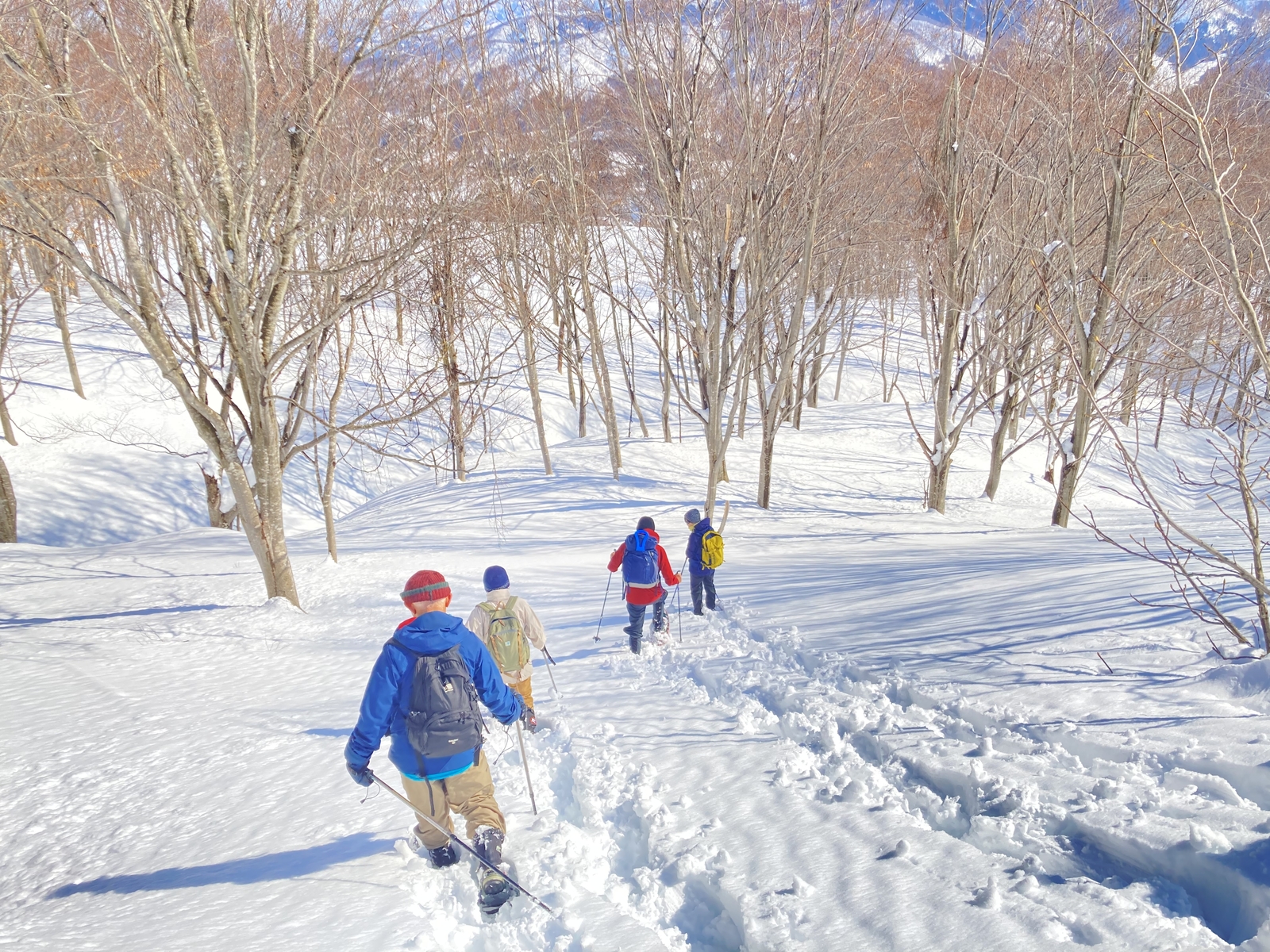 Cozy Cabins and Snowshoeing in Iiyama's Snow Country