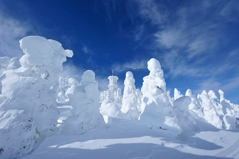 冬しか出会えない絶景。（長野県）〝樹氷〟に会いに、冬の山へ