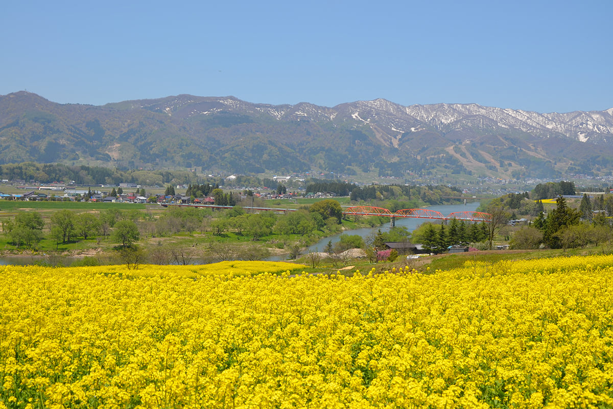 桜だけじゃない 長野県の春の花見と温泉と。