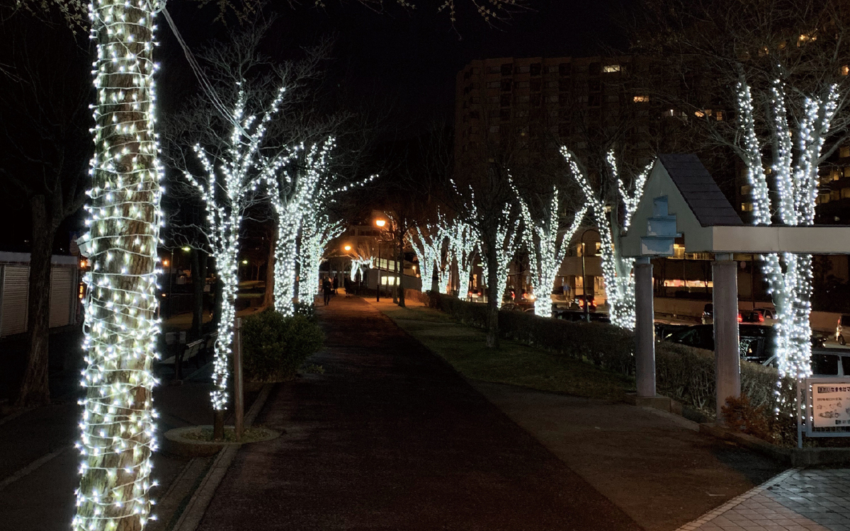 遊歩道の並木がライトアップされ、諏訪湖対岸の夜景も楽しめます（提供：諏訪観光協会）