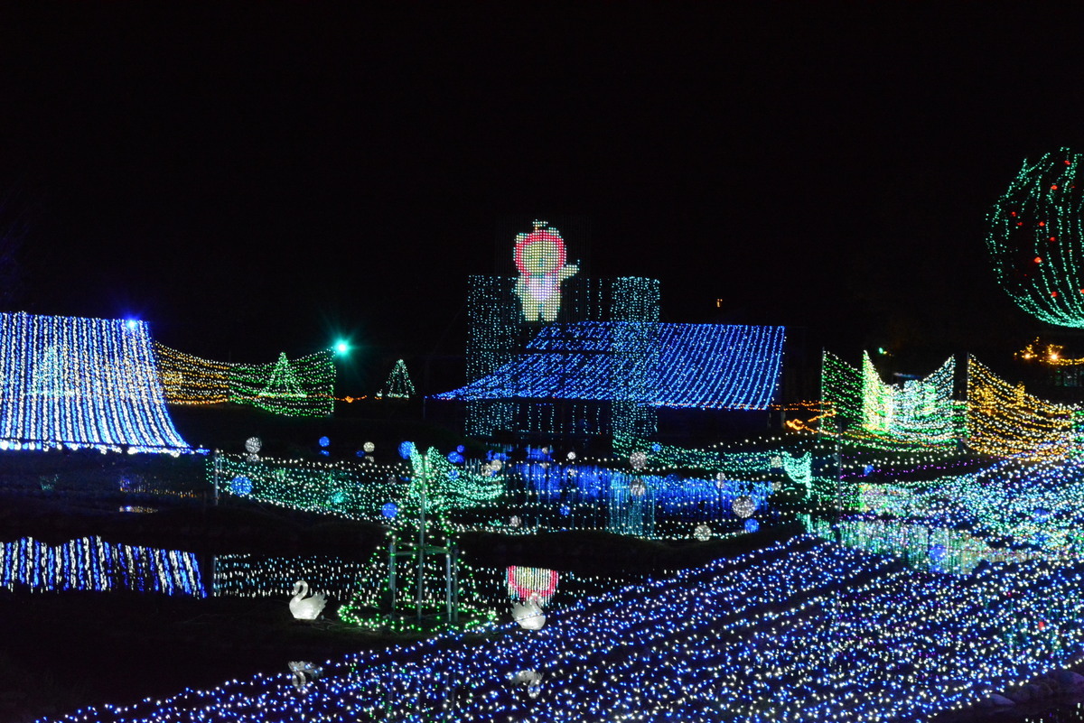 県内最大級のイルミネーション「光と森のページェント」（提供：国営アルプスあづみの公園）