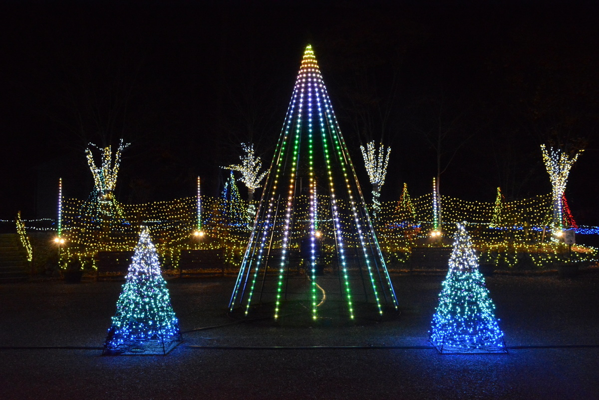 入口付近のウェルカムツリー（提供：国営アルプスあづみの公園）