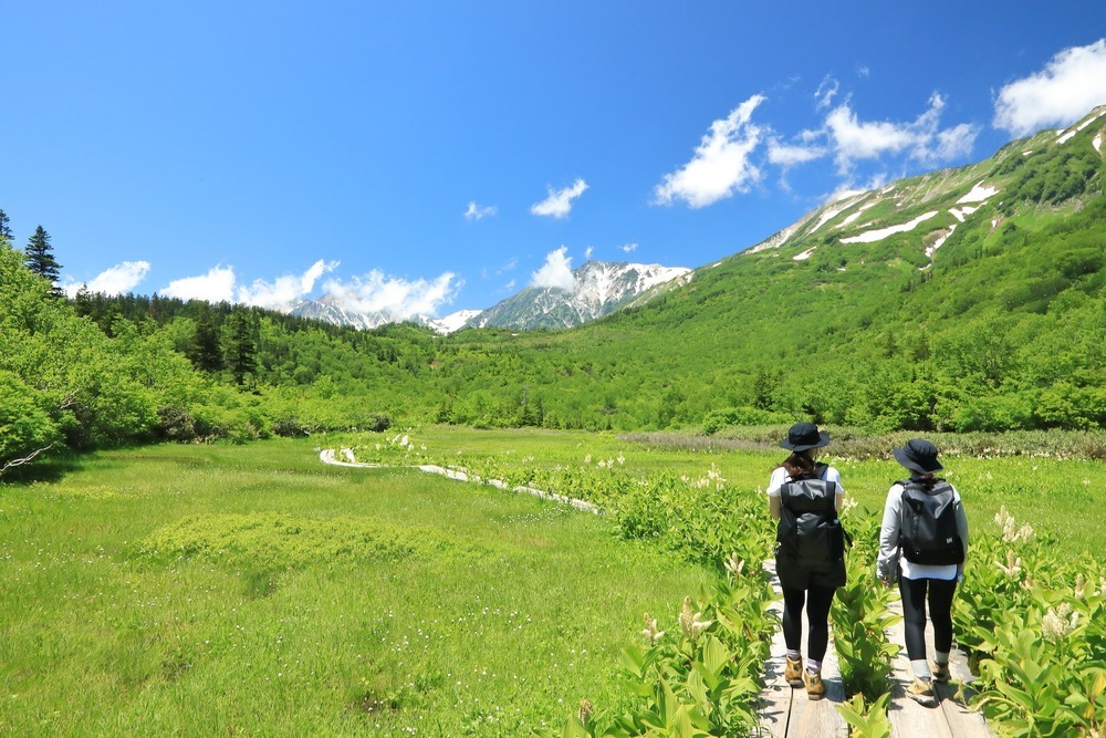 長野でおすすめの湿原9選　四季折々の美しさを堪能できるスポットをご紹介