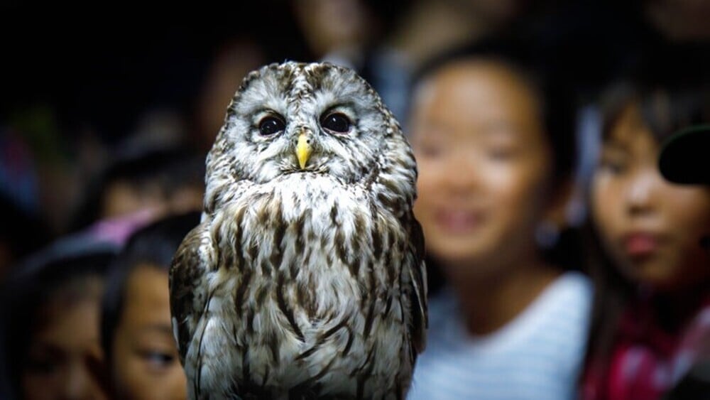 CONTENTS【3】 ❷夜の動物園を探検！ドキドキわくわくの“サマーナイトズー2022” 開園