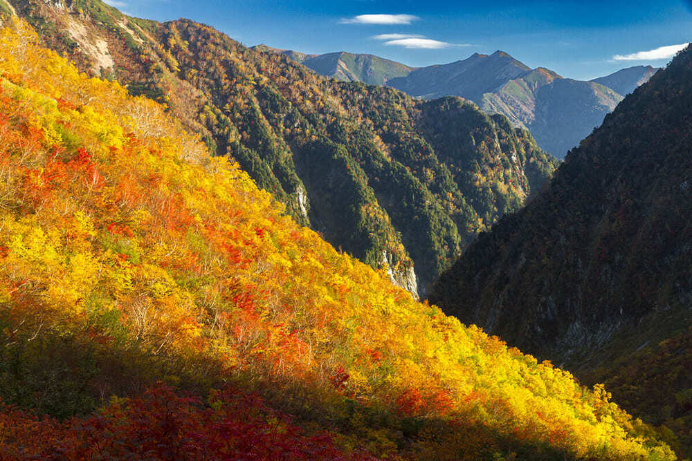 長野県在住プロ・フォトグラファーが撮る長野県の紅葉