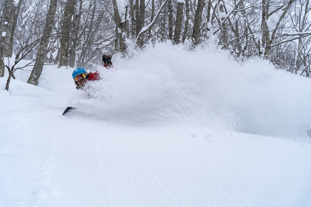 世界が羨む日本（JAPAN）のパウダー（POWDER）スノーの魅力！ 盛り上がるフリーライドの世界