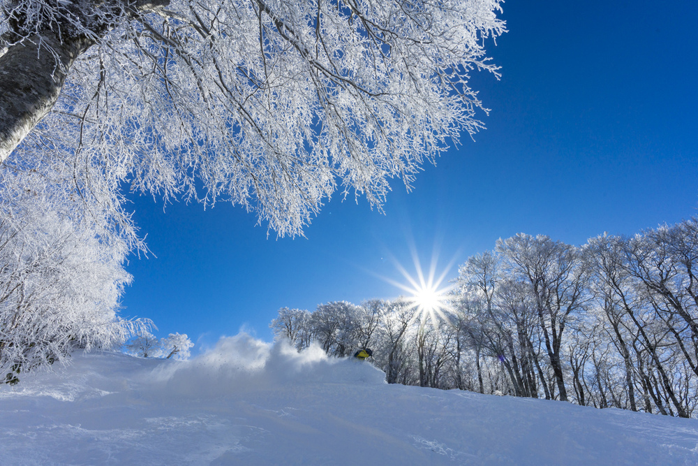 【冬の信州ときめき観光キャンペーン】 真新しい長野の冬。滑り尽くしませんか。